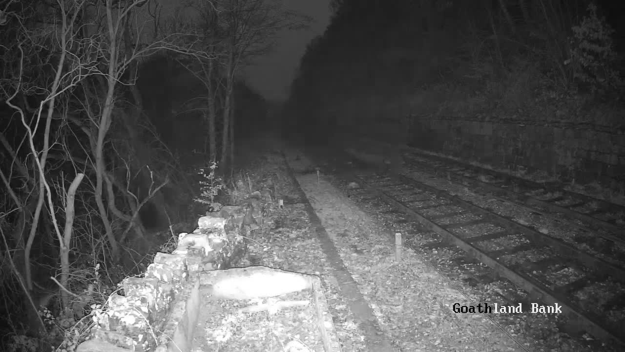North Yorkshire Moors Railway (NYMR) Goathland Station North View Live Cam - Goathland, Borough of Scarborough, North Yorkshire, Yorkshire and the Humber, England, United Kingdom