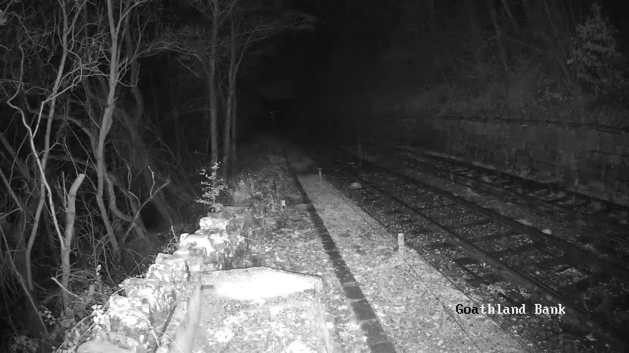 North Yorkshire Moors Railway (NYMR) Goathland Station North View Live Cam - Goathland, Borough of Scarborough, North Yorkshire, Yorkshire and the Humber, England, United Kingdom