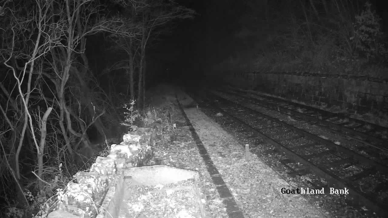 North Yorkshire Moors Railway (NYMR) Goathland Station North View Live Cam - Goathland, Borough of Scarborough, North Yorkshire, Yorkshire and the Humber, England, United Kingdom