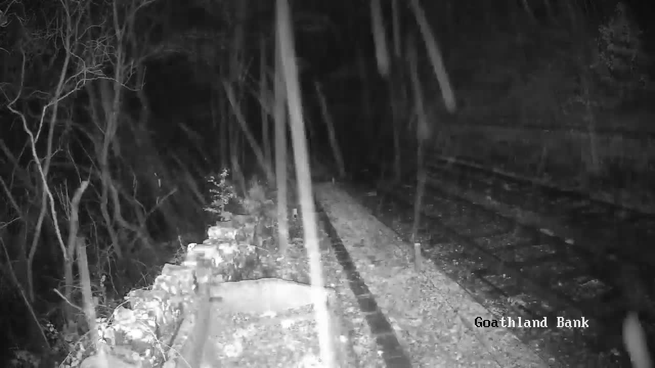 North Yorkshire Moors Railway (NYMR) Goathland Station North View Live Cam - Goathland, Borough of Scarborough, North Yorkshire, Yorkshire and the Humber, England, United Kingdom