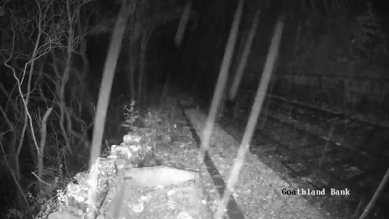North Yorkshire Moors Railway (NYMR) Goathland Station North View Live Cam - Goathland, Borough of Scarborough, North Yorkshire, Yorkshire and the Humber, England, United Kingdom