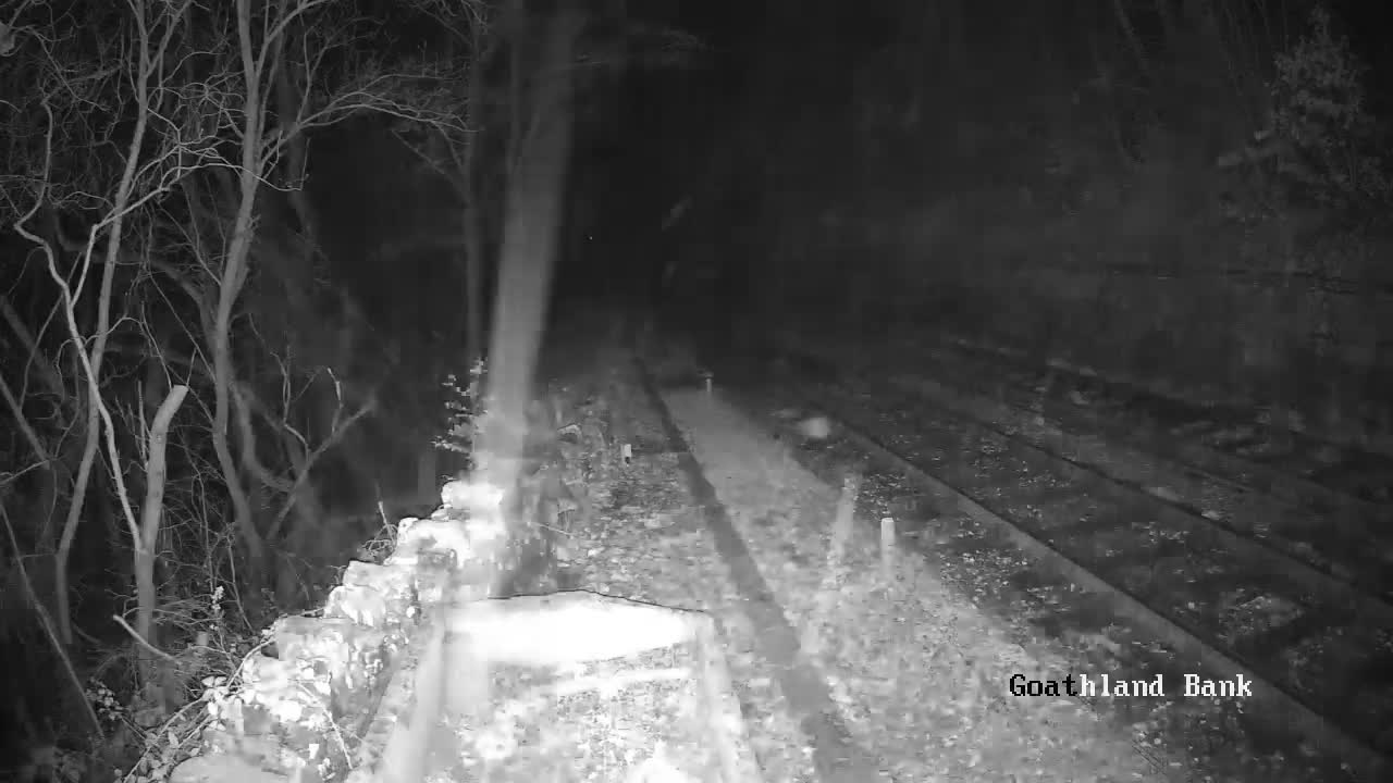 North Yorkshire Moors Railway (NYMR) Goathland Station North View Live Cam - Goathland, Borough of Scarborough, North Yorkshire, Yorkshire and the Humber, England, United Kingdom