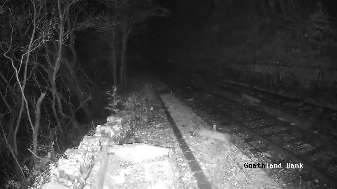 North Yorkshire Moors Railway (NYMR) Goathland Station North View Live Cam - Goathland, Borough of Scarborough, North Yorkshire, Yorkshire and the Humber, England, United Kingdom