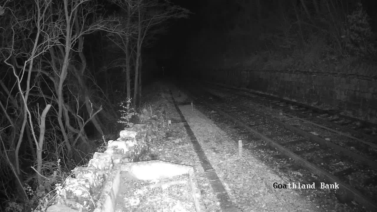 North Yorkshire Moors Railway (NYMR) Goathland Station North View Live Cam - Goathland, Borough of Scarborough, North Yorkshire, Yorkshire and the Humber, England, United Kingdom