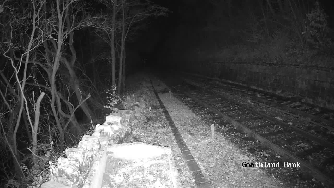 North Yorkshire Moors Railway (NYMR) Goathland Station North View Live Cam - Goathland, Borough of Scarborough, North Yorkshire, Yorkshire and the Humber, England, United Kingdom