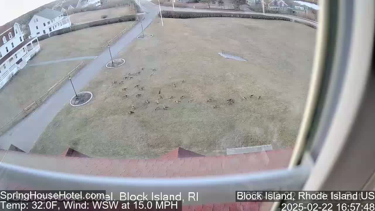 A flock of birds is gathered on a grassy field near buildings, with a 15 mph wind from the west-southwest and a temperature of 32 degrees Fahrenheit.