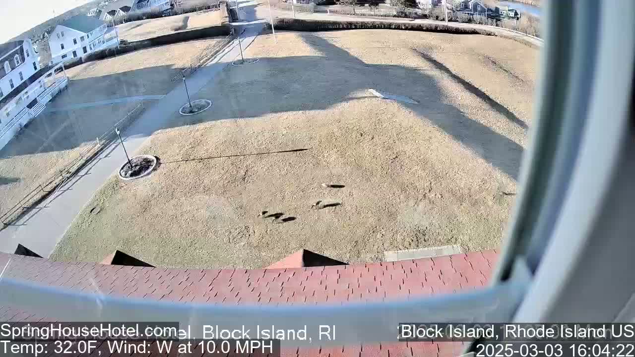 A high-angle view shows a group of birds on a tan, grassy area next to a paved walkway and buildings, with a 32°F temperature and a 10 mph westerly wind.
