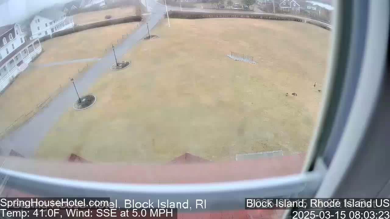 A high-angle view shows a large, tan grassy area with paved pathways, a few lampposts, and a small flock of birds, all viewed through a window on an overcast day.