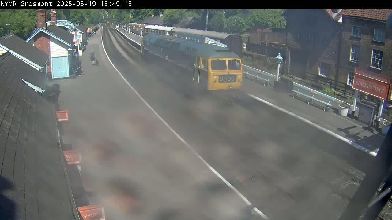 A yellow and green diesel locomotive pulls a train past a station platform on a sunny day, leaving a trail of smoke.