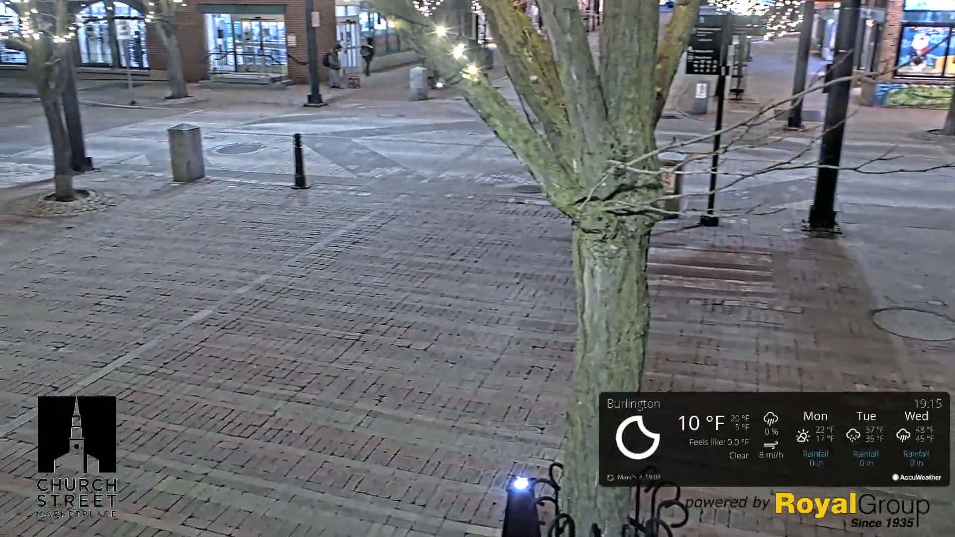 A brick paved town square at night under a clear sky with an 8 mph wind,  partially obscured by a tree trunk.