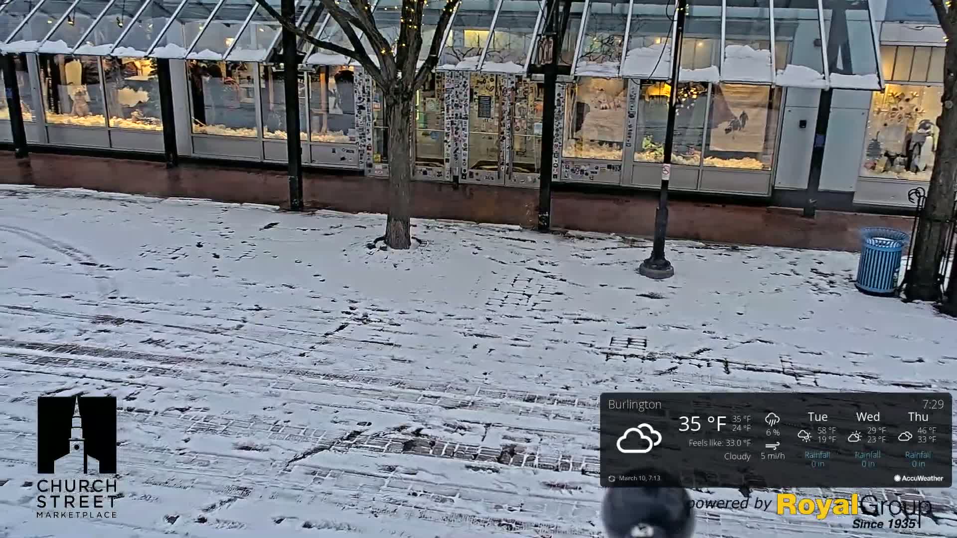 A snow-covered brick walkway in front of a storefront with large windows.