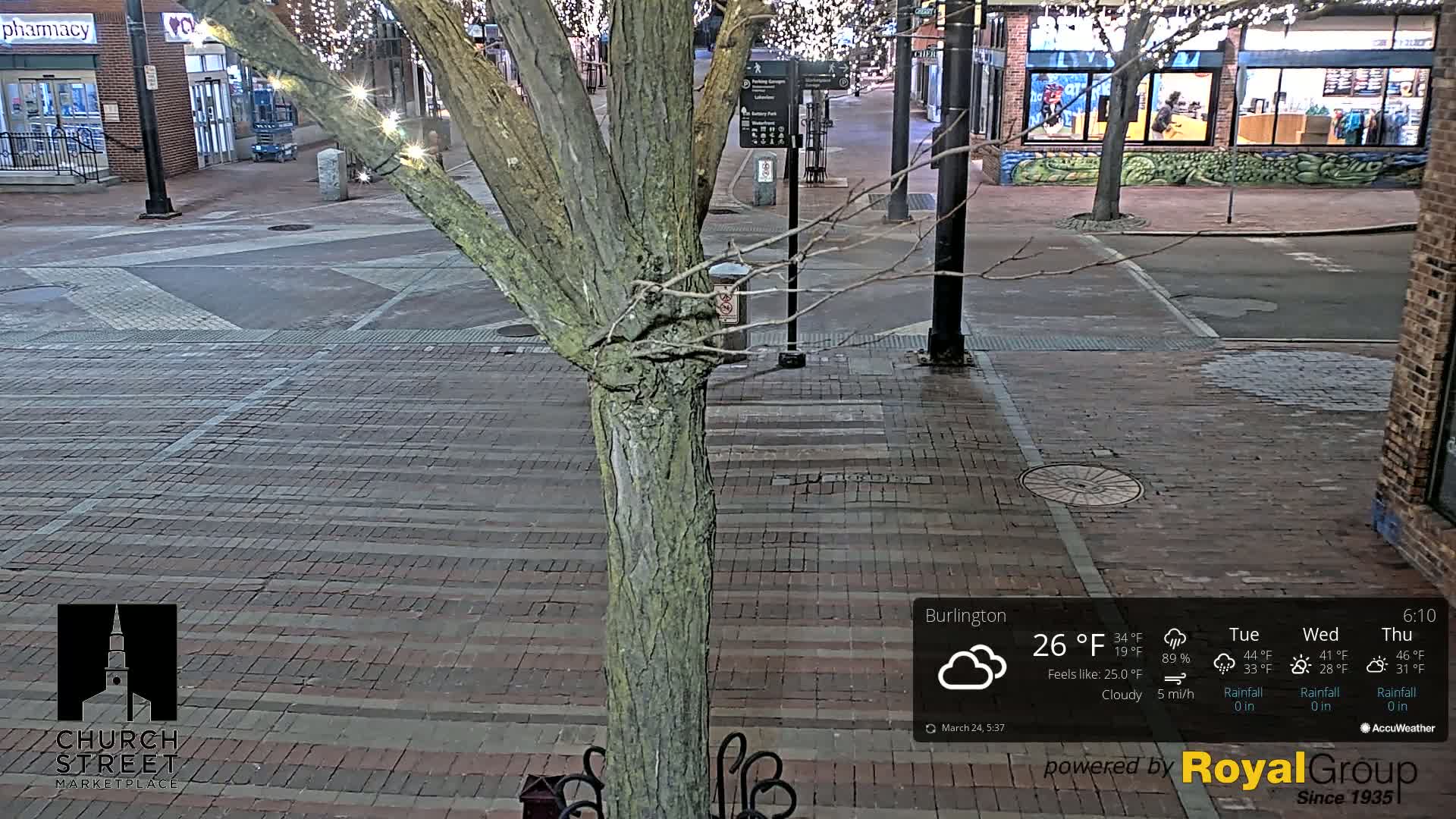 A nighttime view of a brick street with a tree in the foreground under cloudy conditions.