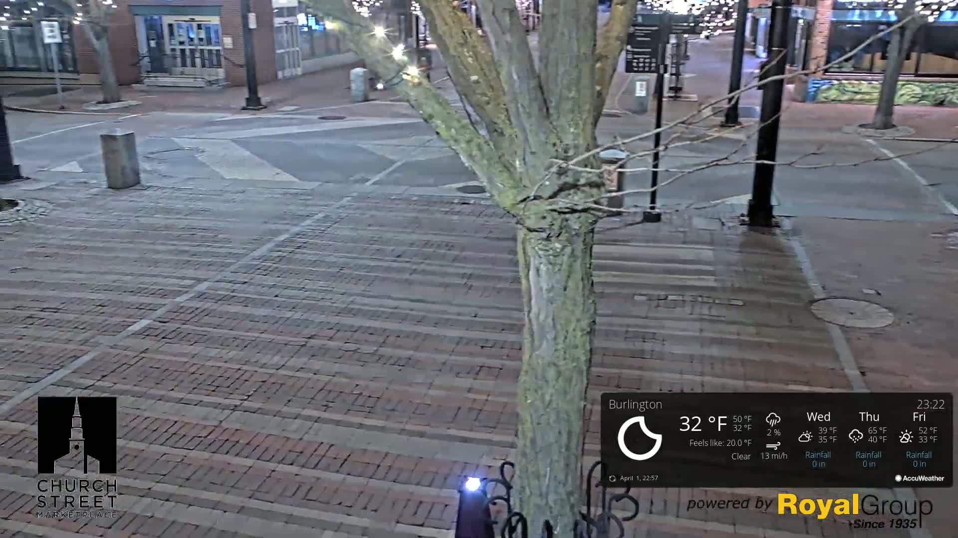 A nighttime view of a brick paved street, under a clear sky, with a tree trunk in the foreground.
