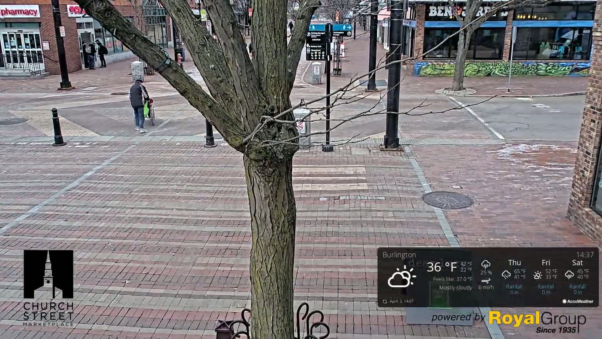 A mostly cloudy day with a temperature of 36°F, showing a brick paved street with a tree in the center and a few pedestrians.