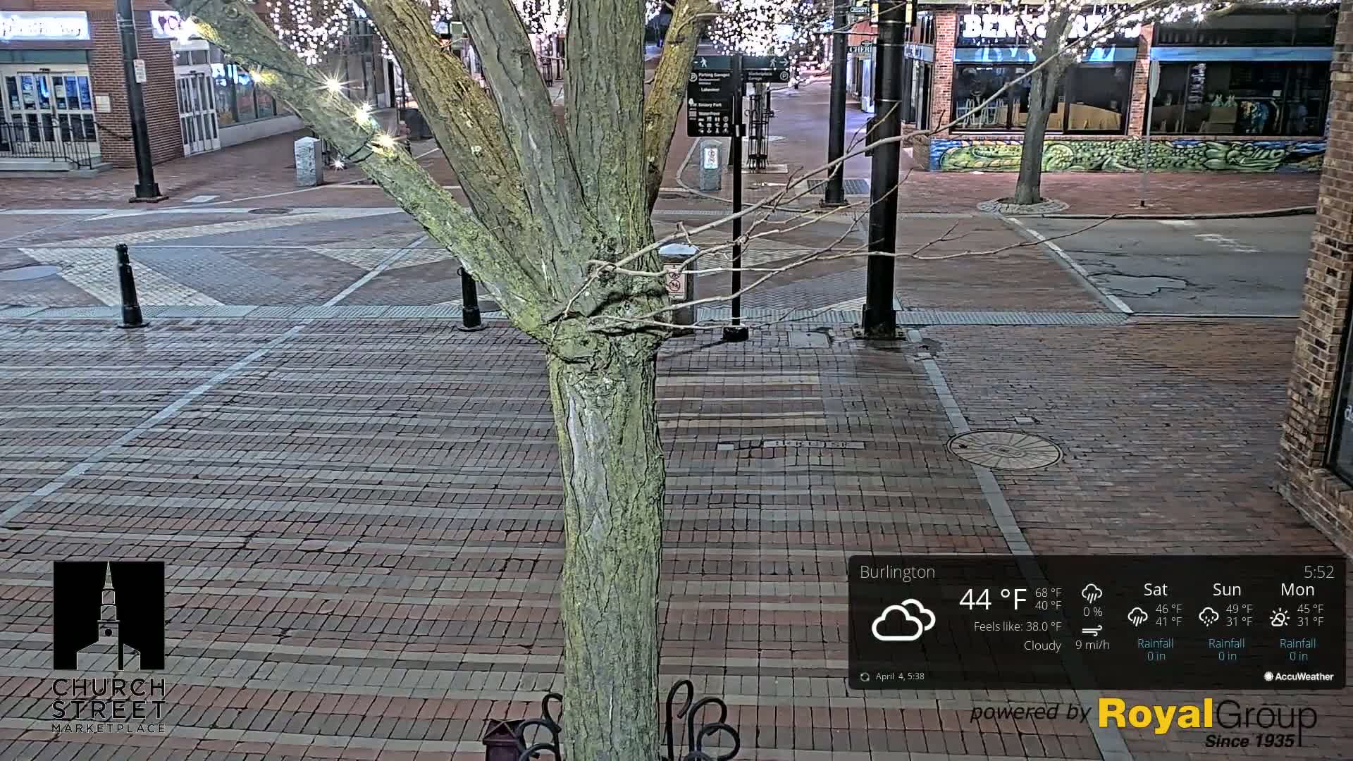 A nighttime view of a brick-paved street with a tree in the center, under cloudy skies.