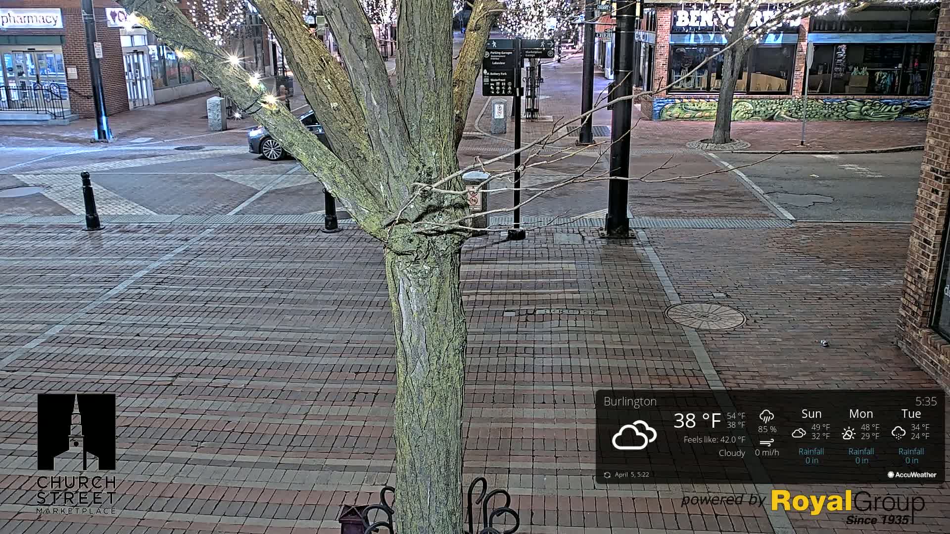 A nighttime view of a brick-paved street with a tree in the foreground, under cloudy conditions and a temperature of 38°F.
