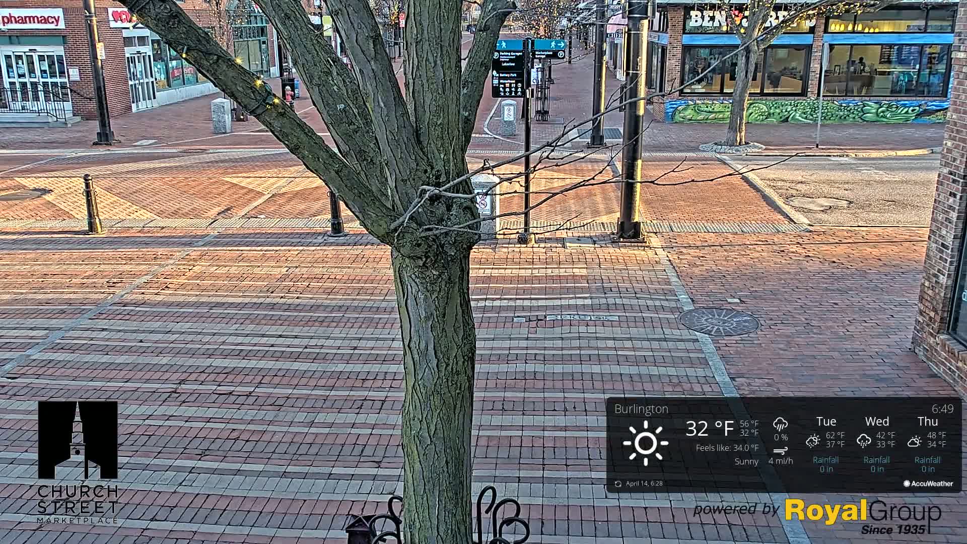 A sunny brick street scene is viewed from behind a tree, with buildings and a partially visible mural in the background.