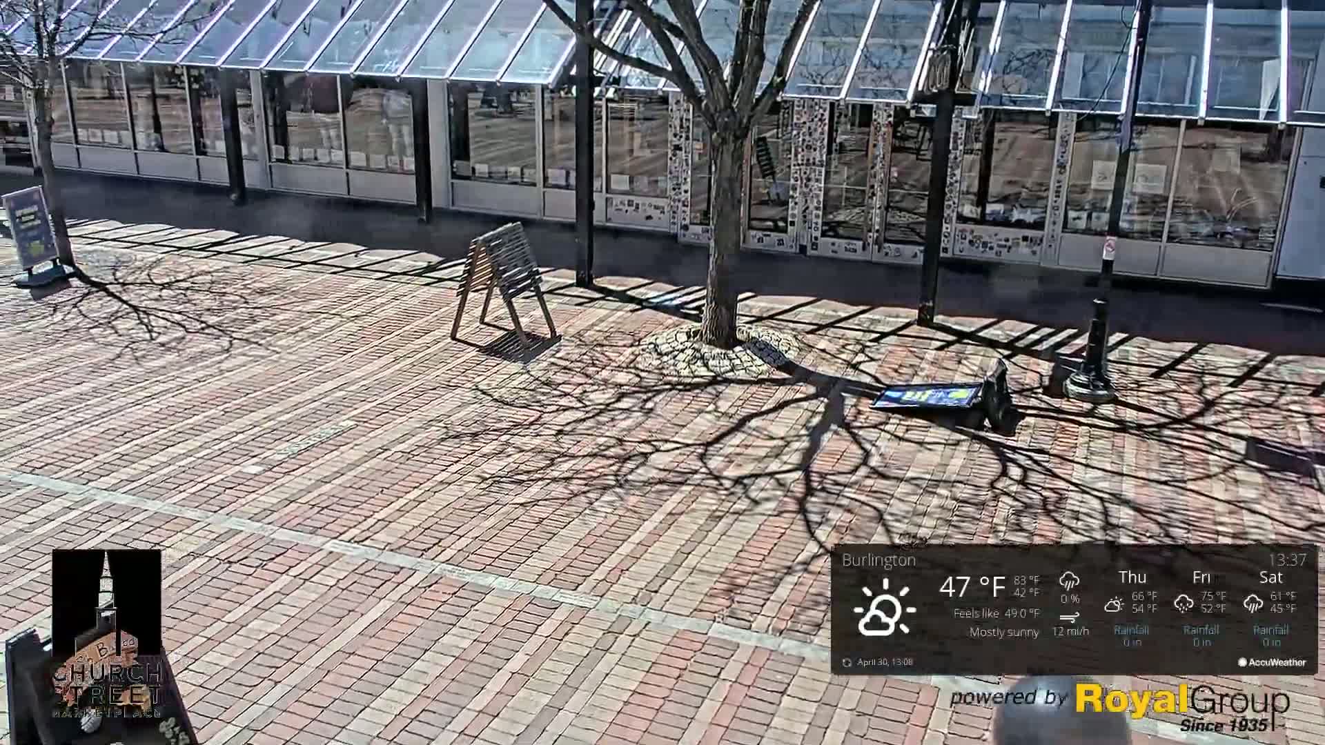 A mostly sunny brick plaza with a bare tree casting a long shadow in front of a glass-roofed building.