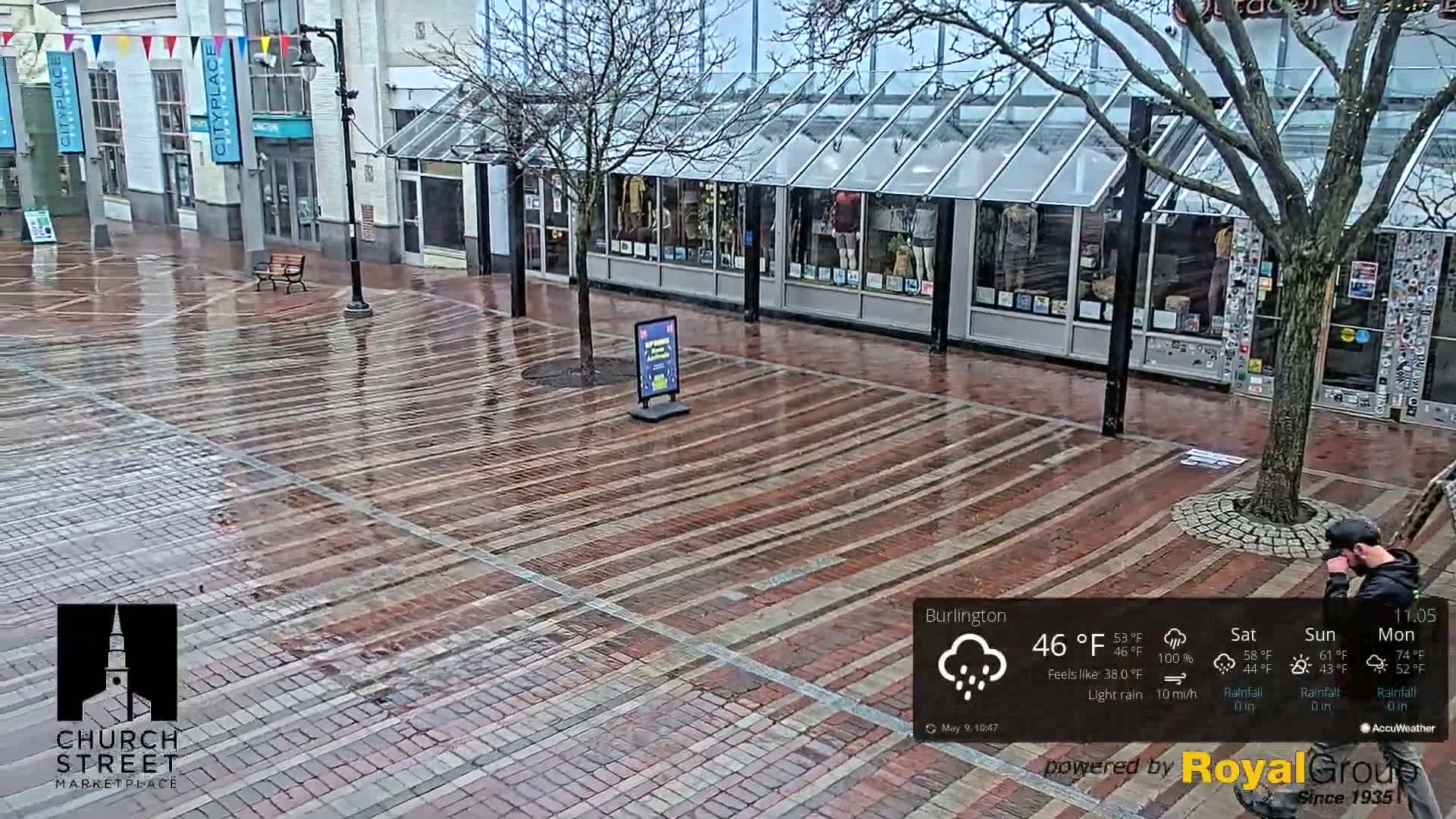 A wet brick plaza with shops and a tree, under light rain.