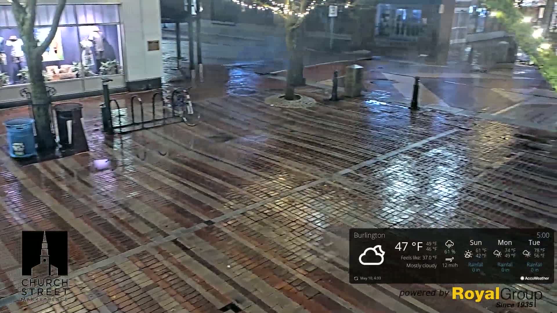 A wet brick street at night, illuminated by streetlights, with a bike rack and a tree visible near a building.
