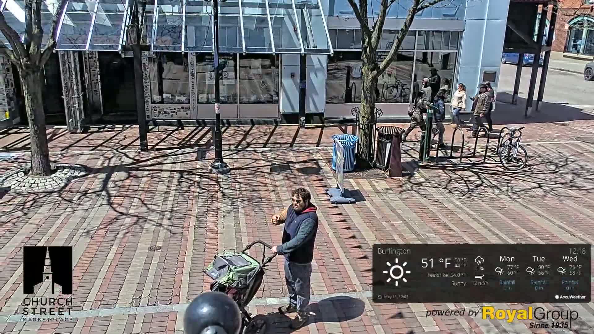 A man pushes a pet carrier on a sunny brick-paved street, with shadows cast by trees and buildings, and people walking nearby.