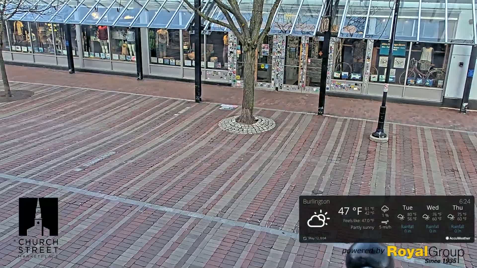 A partly sunny brick-paved street is seen in front of storefronts with a tree in the center.