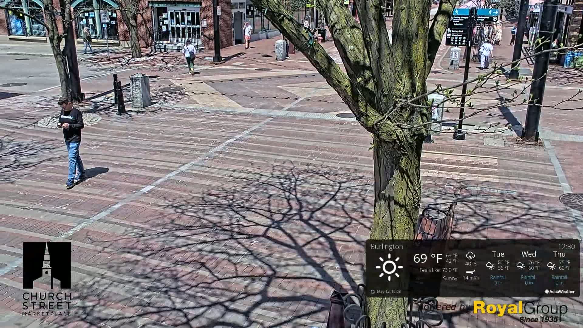 A sunny day in a brick plaza with a person walking and the shadows of leafless trees cast on the ground.
