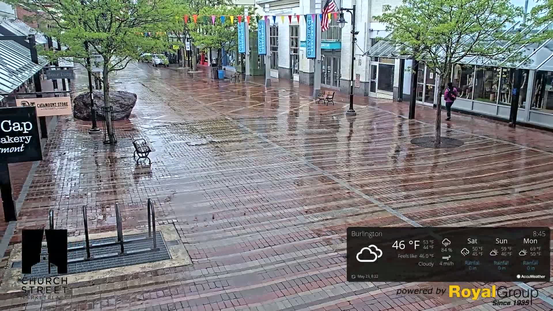 A wet brick paved street, lined with shops and trees, is shown on a cloudy day.