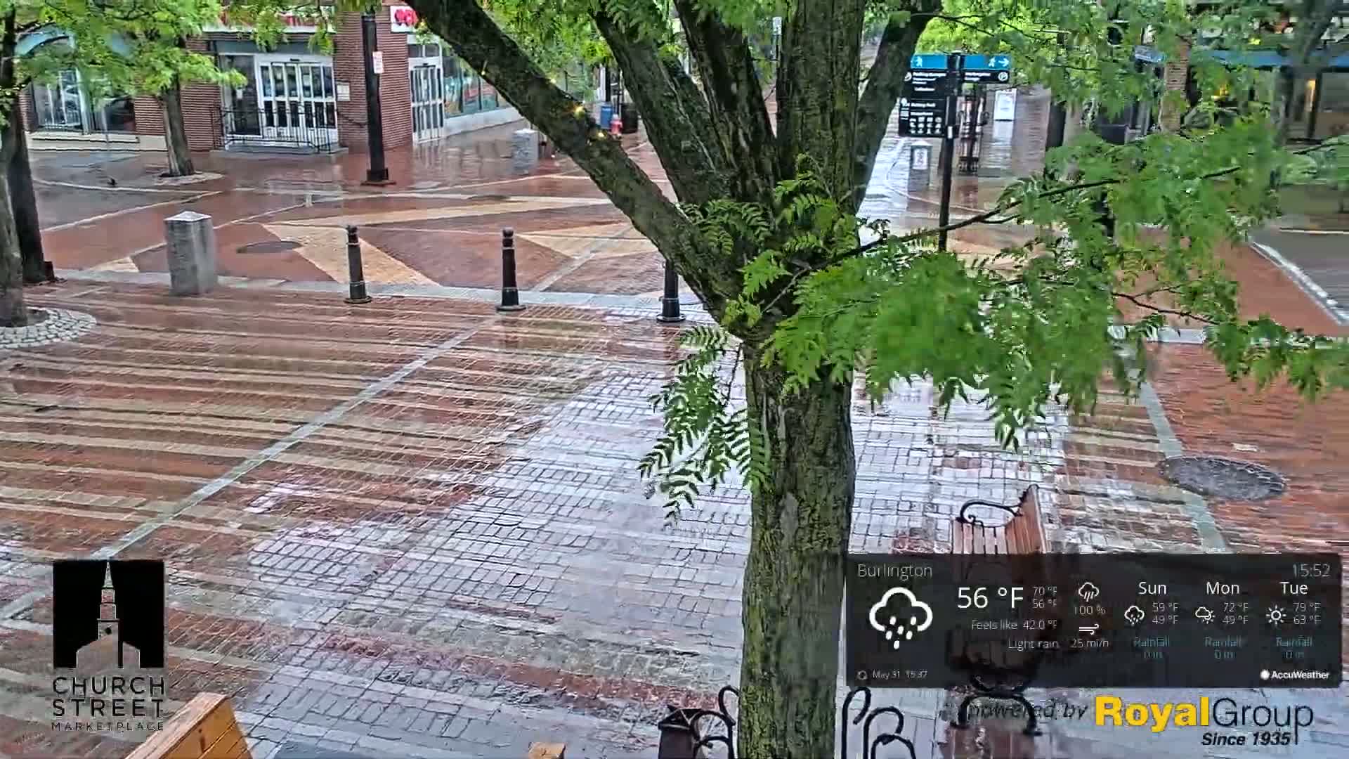 A wet brick plaza is seen under a light rain, with a tree partially obscuring the view of nearby buildings.