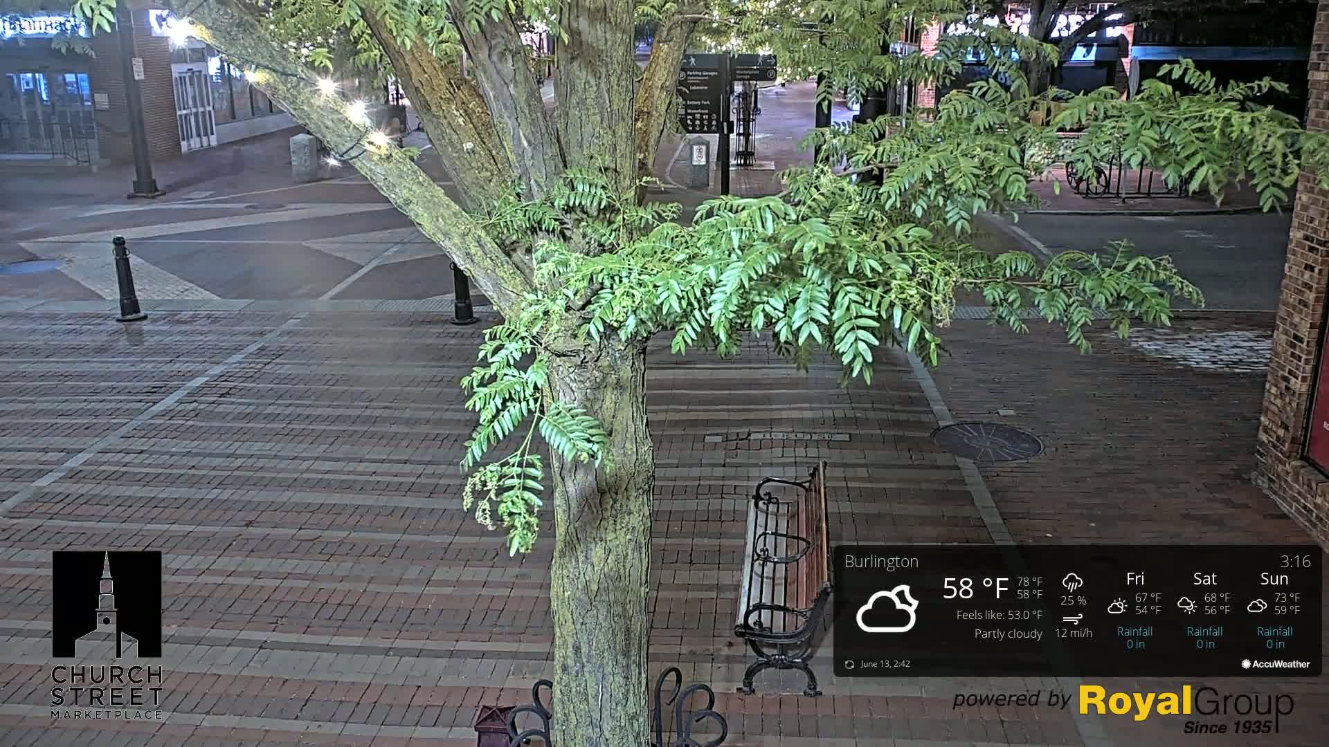 A brick street at night, partially obscured by a tree with green leaves, under partly cloudy conditions.
