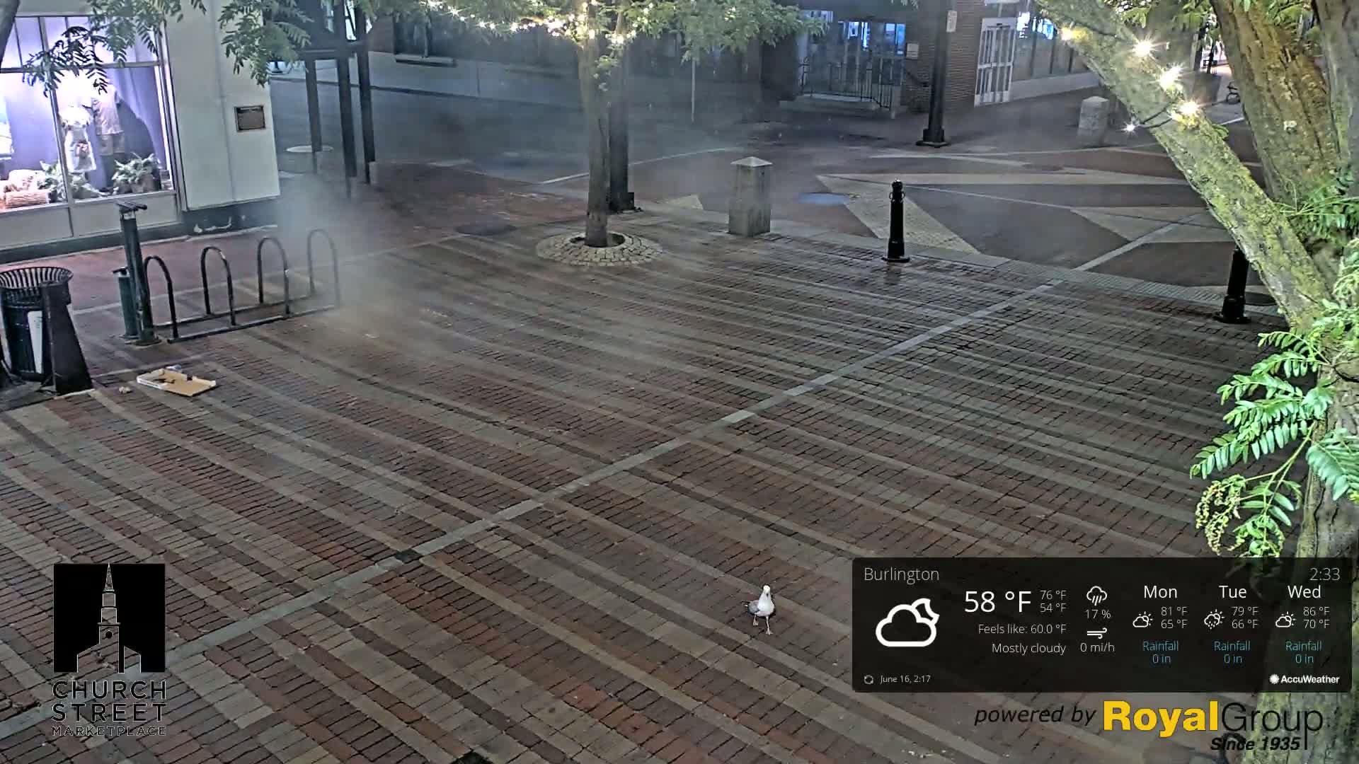 Burlington, Church Street Market Place Live Cam - Burlington, Vermont, USA