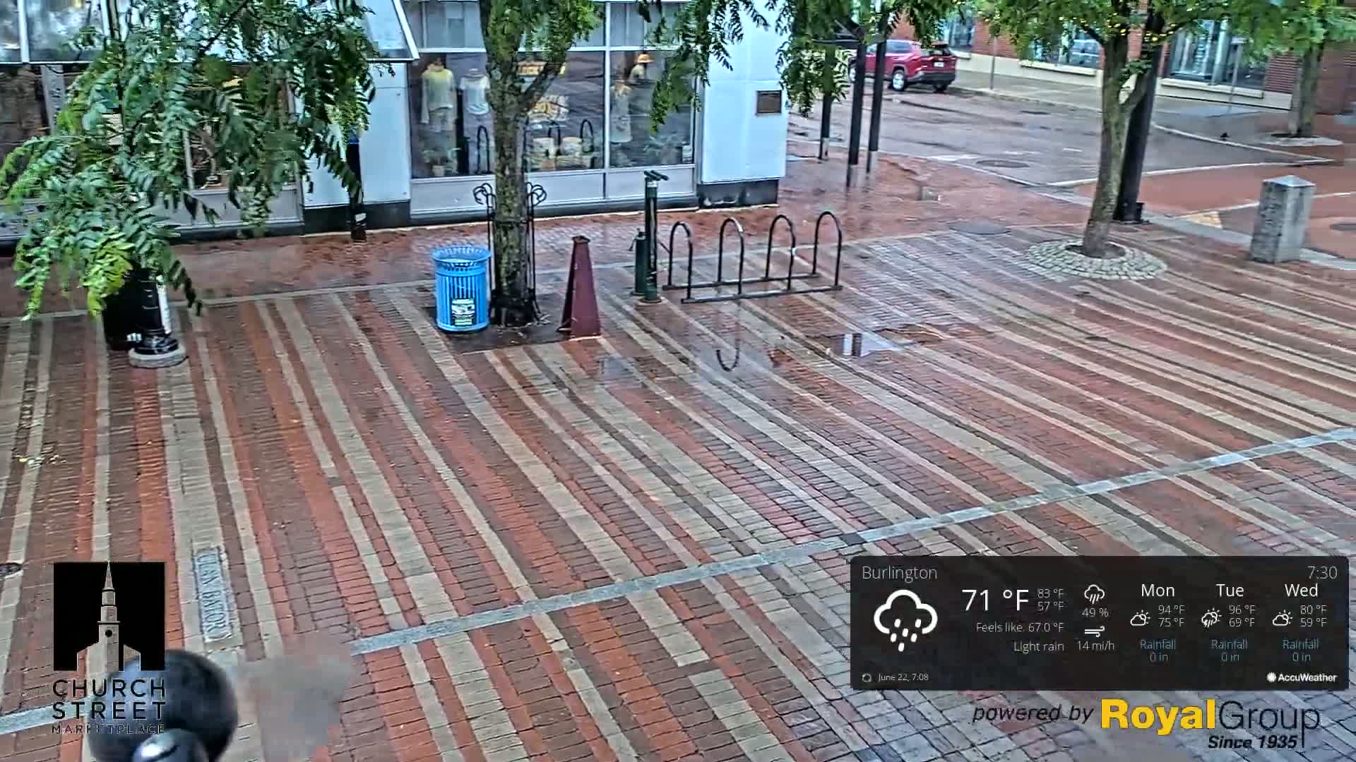 A brick plaza with a tree and bicycle rack is wet from light rain.