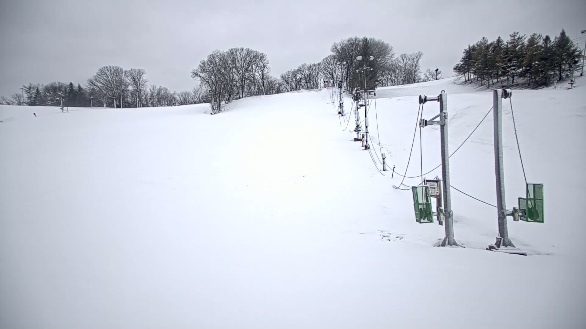 A snow-covered ski slope with a surface lift extends uphill towards a line of bare deciduous trees under an overcast sky.
