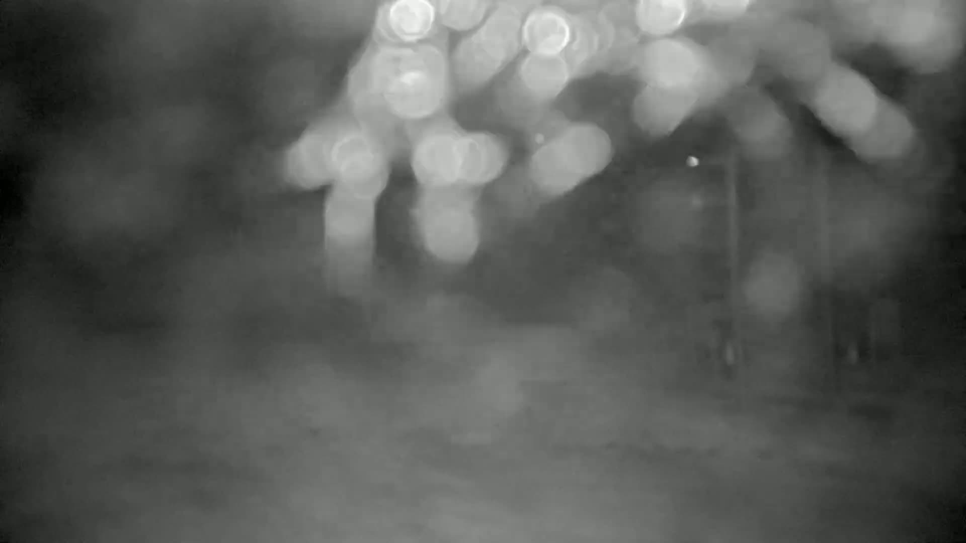 A blurry, nighttime image shows an indistinct road or path leading past out-of-focus trees and buildings in snowy or hazy conditions.