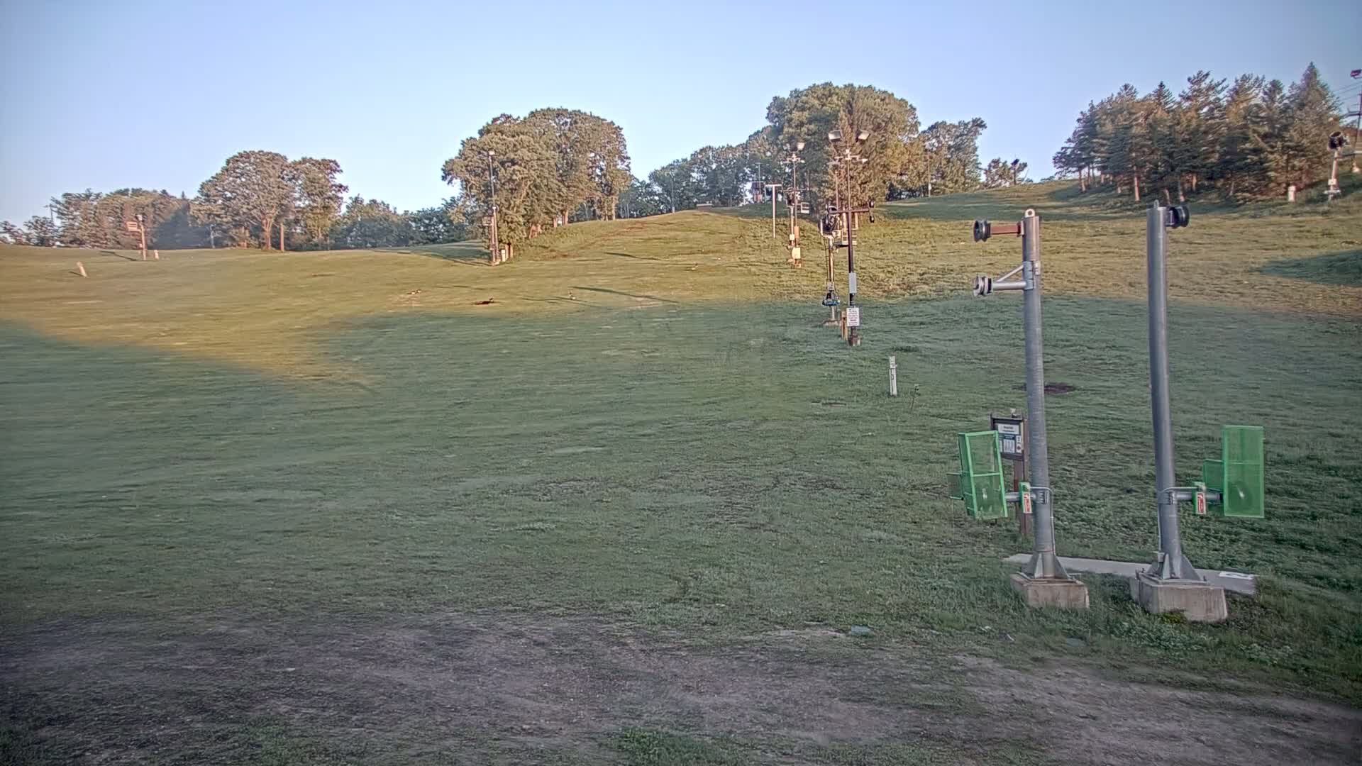 A grassy hill with remnants of a ski lift and trees under a clear, bright sky.