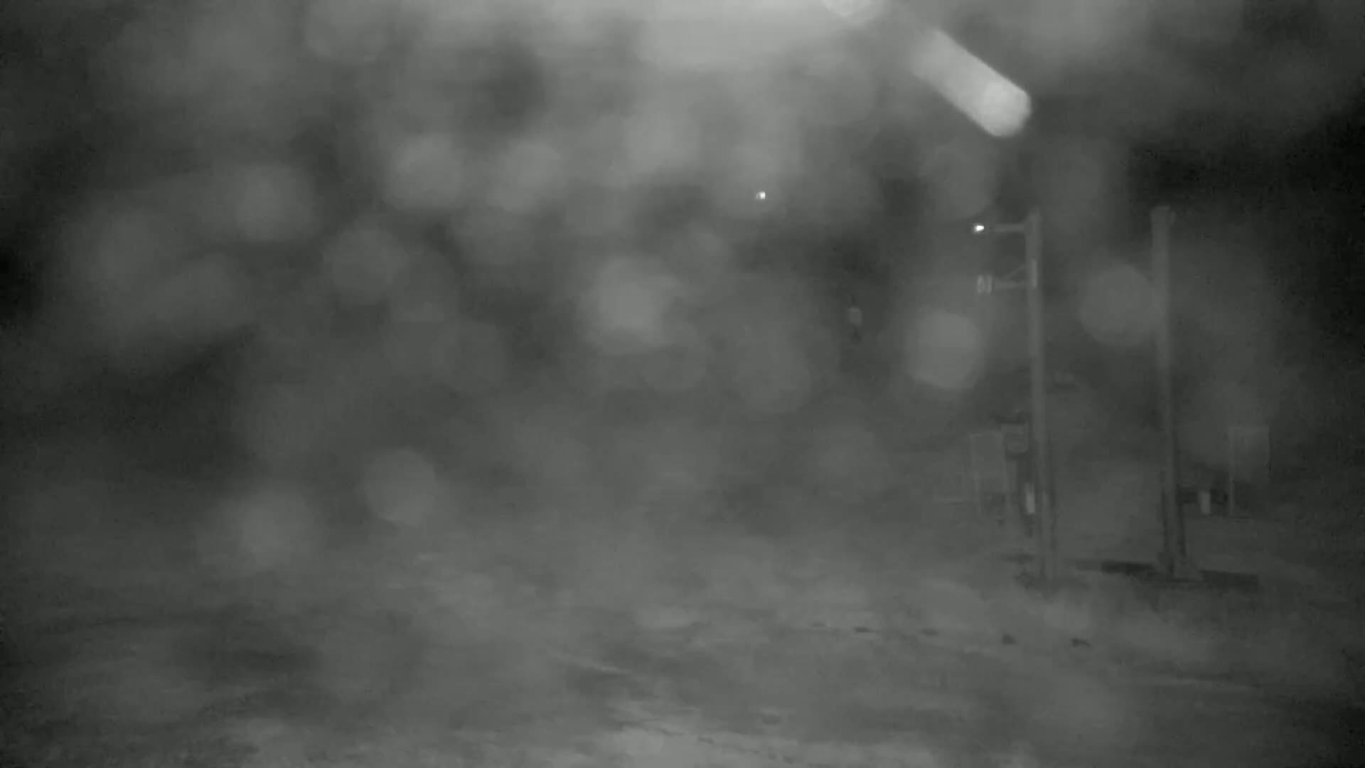 A blurry nighttime scene shows a road with a traffic light and indistinct objects in heavy snow or fog.