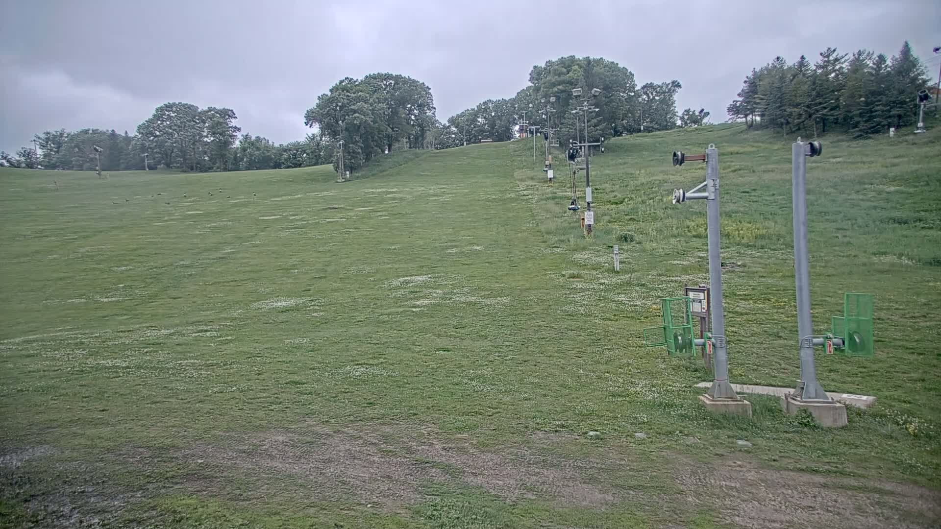A grassy hill with a chairlift and several trees under an overcast sky.