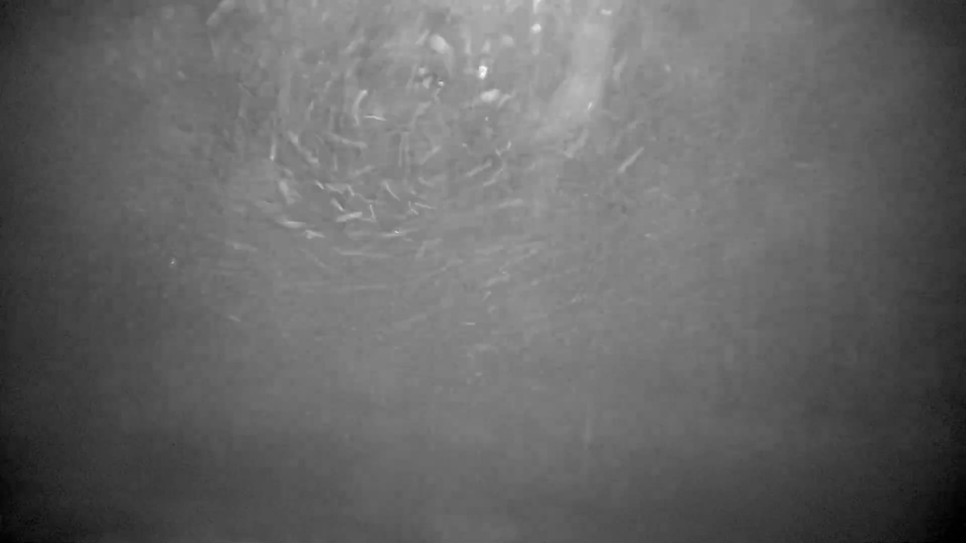 Bloomington, Hyland Hills Ski Slopes Live Cam - Bloomington, Hennepin, Minnesota, USA