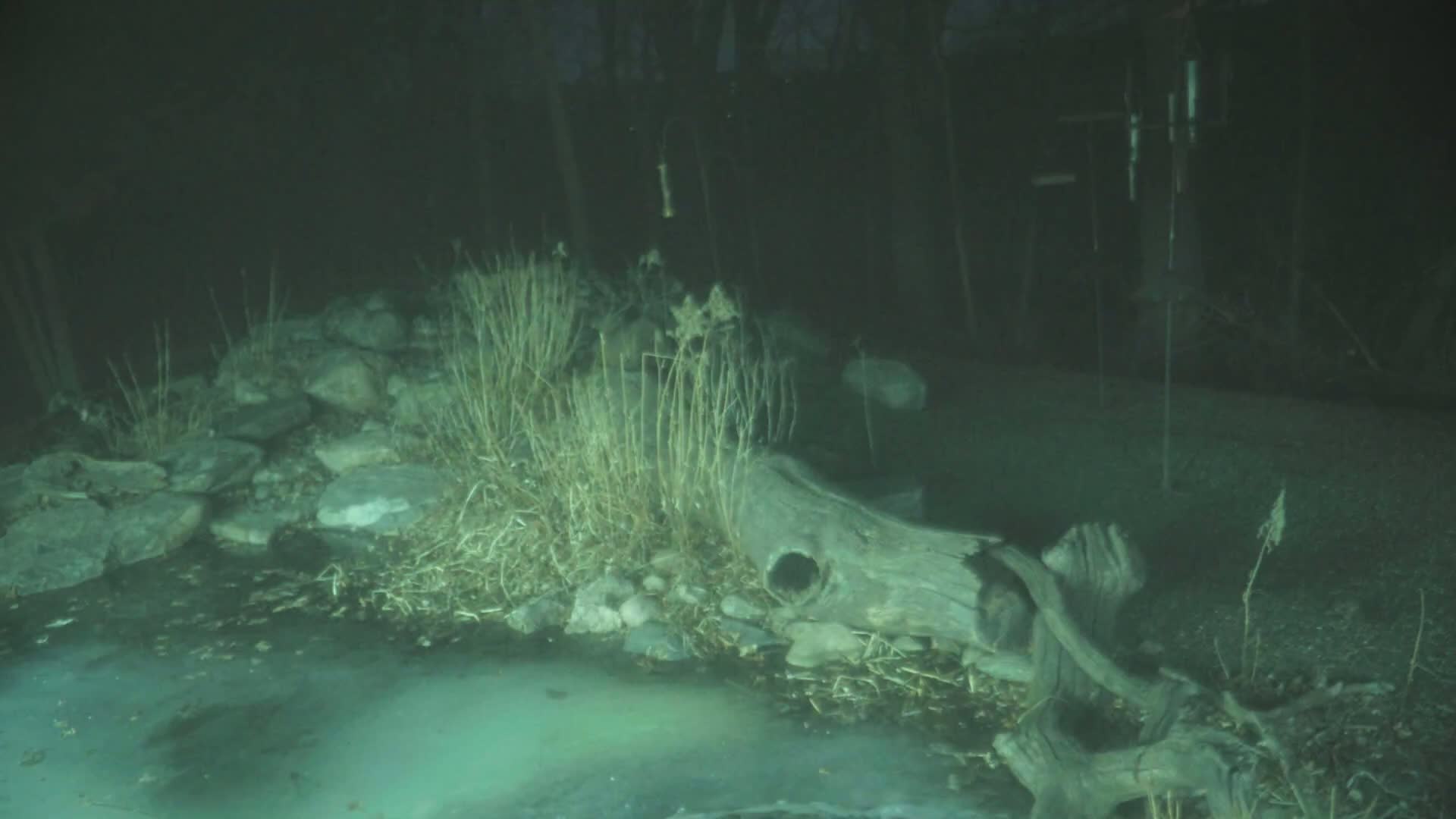 A partially frozen body of water at night is surrounded by rocks, dry brush, and a large piece of driftwood.