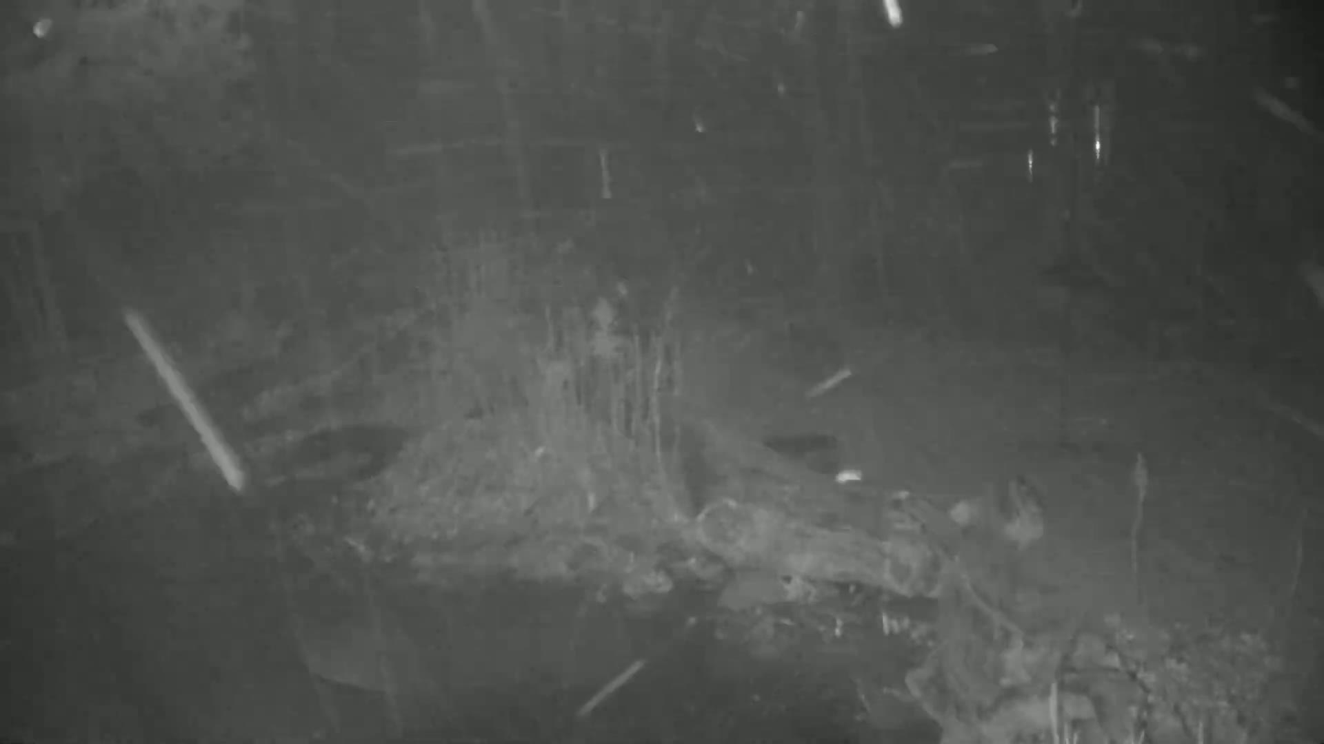 A low-light image shows what appears to be a pile of debris or rubble in the snow.