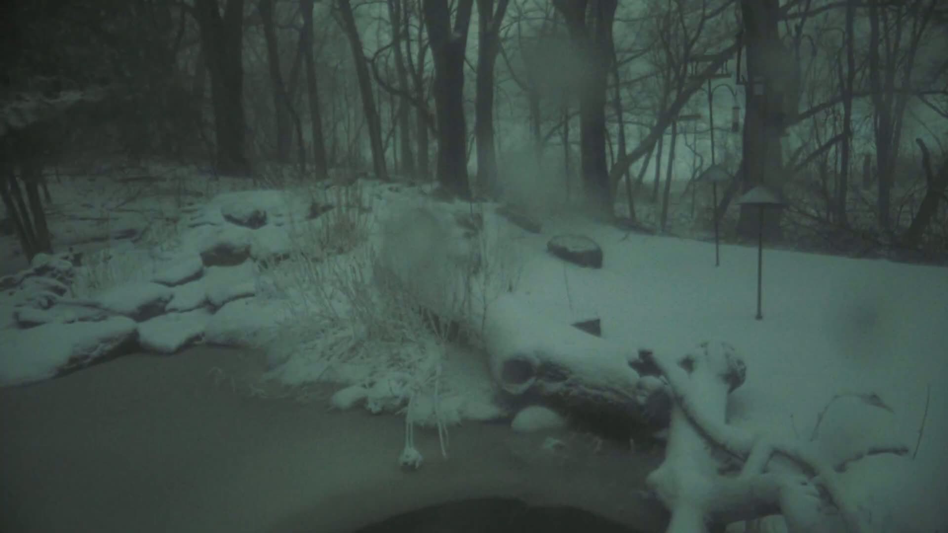 A snow-covered backyard scene features a partially frozen pond, snow-laden rocks, and leafless trees under a heavy snowfall.