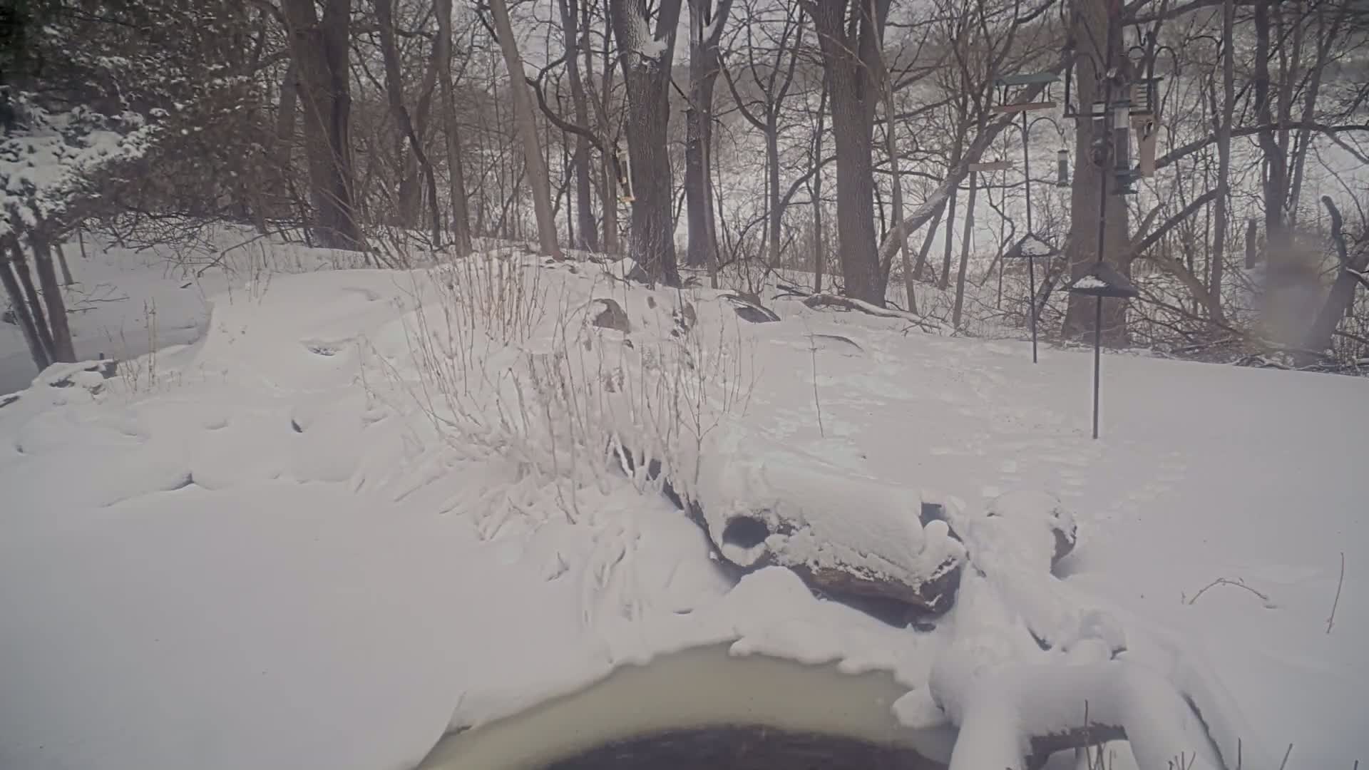 A snow-covered landscape with a partially visible stone structure and several bird feeders in a wooded area.