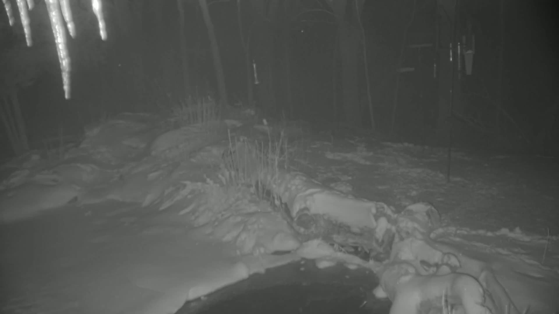 A snow-covered log lies partially submerged in ice, with icicles hanging overhead at night.