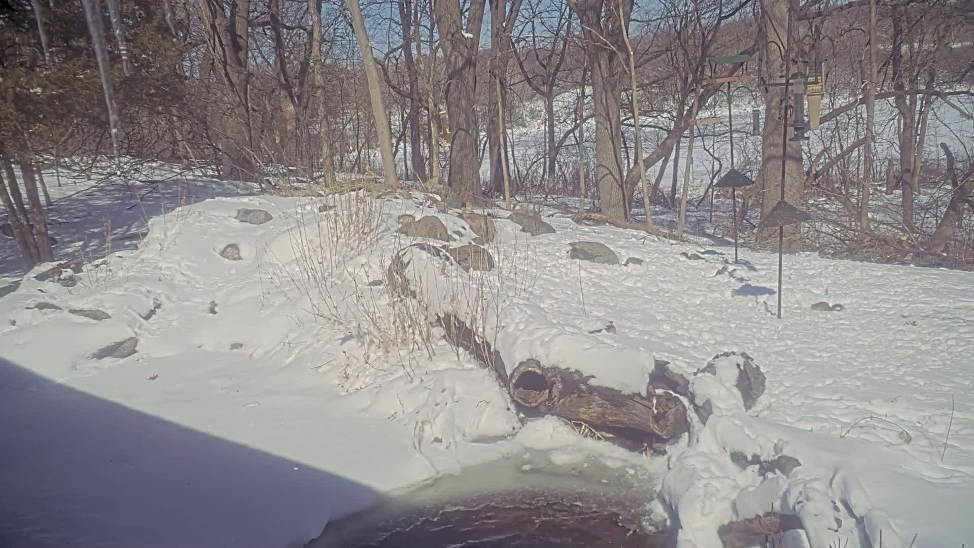 A snow-covered landscape with bare trees, rocks, and a partially frozen stream, under a sunny winter sky.