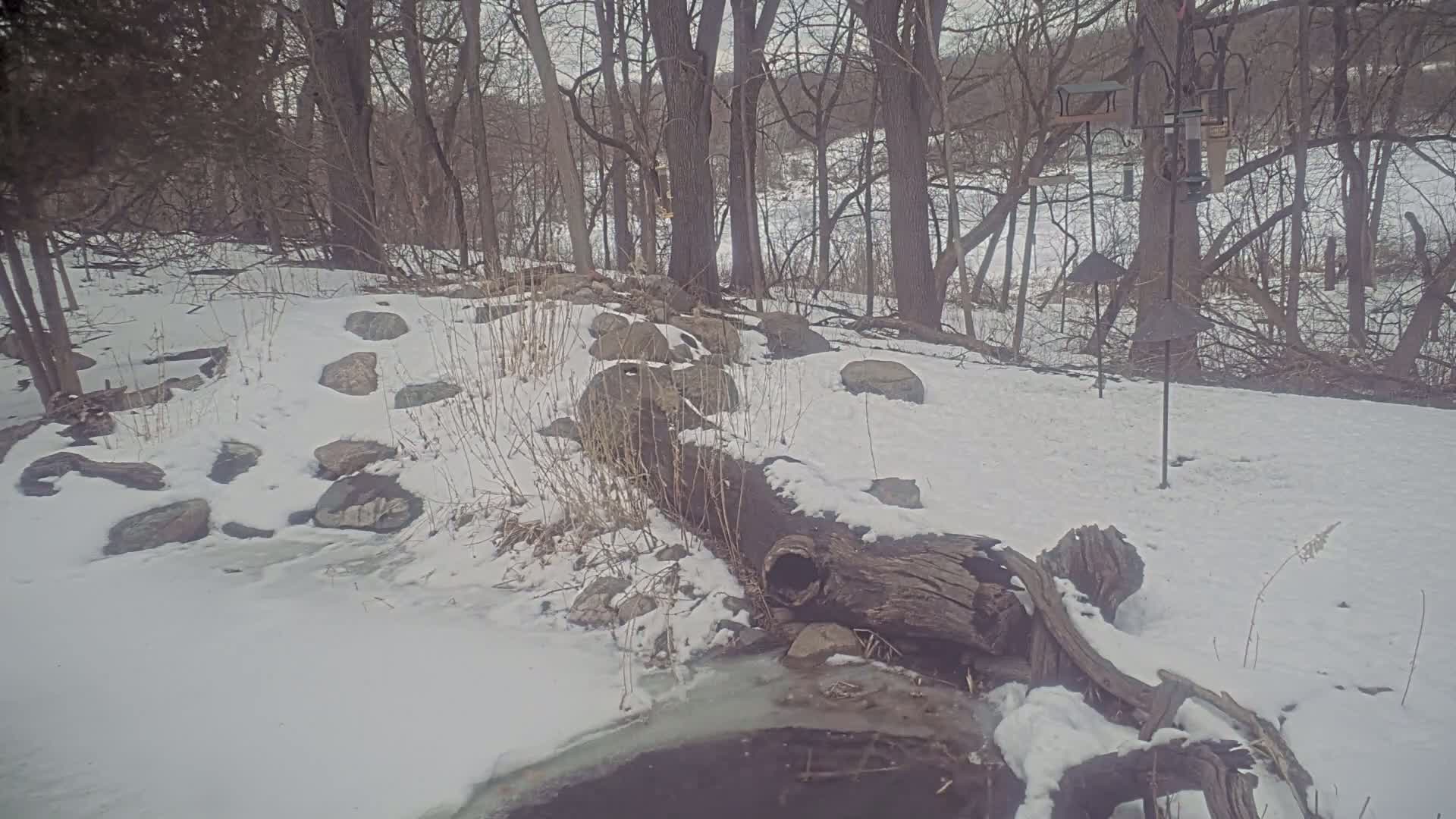 A snow-covered landscape shows a fallen log crossing a partially frozen stream, surrounded by rocks and leafless trees.
