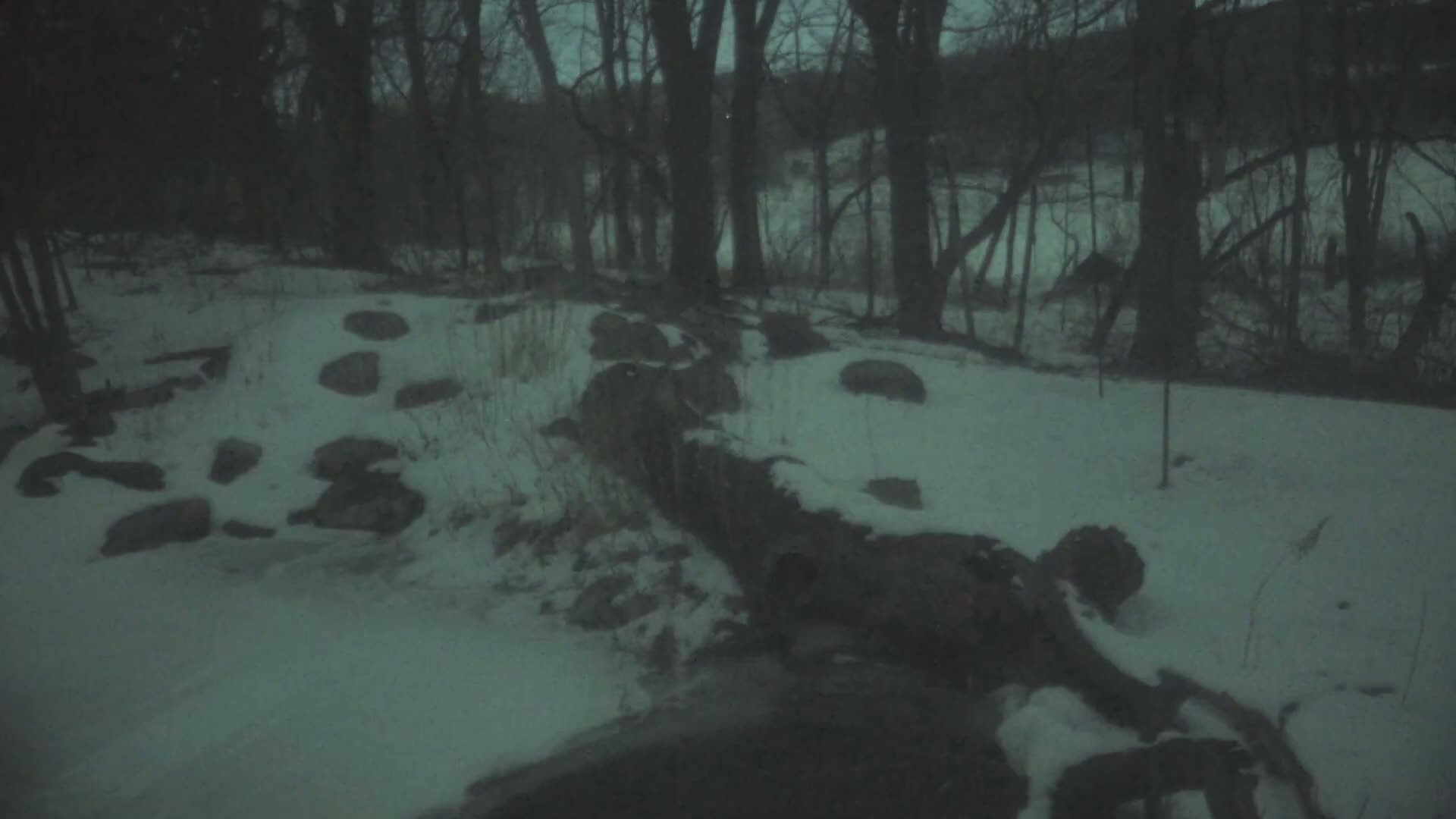 A snow-covered log lies partially submerged in a stream, surrounded by rocks and a dark, wintry forest.