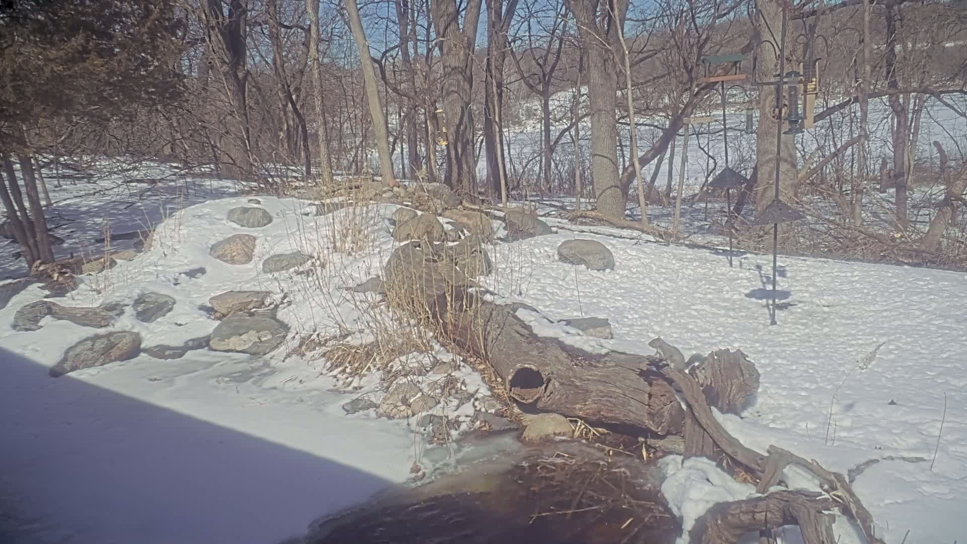 A snow-covered landscape features a hollowed-out log spanning a small stream, surrounded by rocks and leafless trees under a sunny sky.