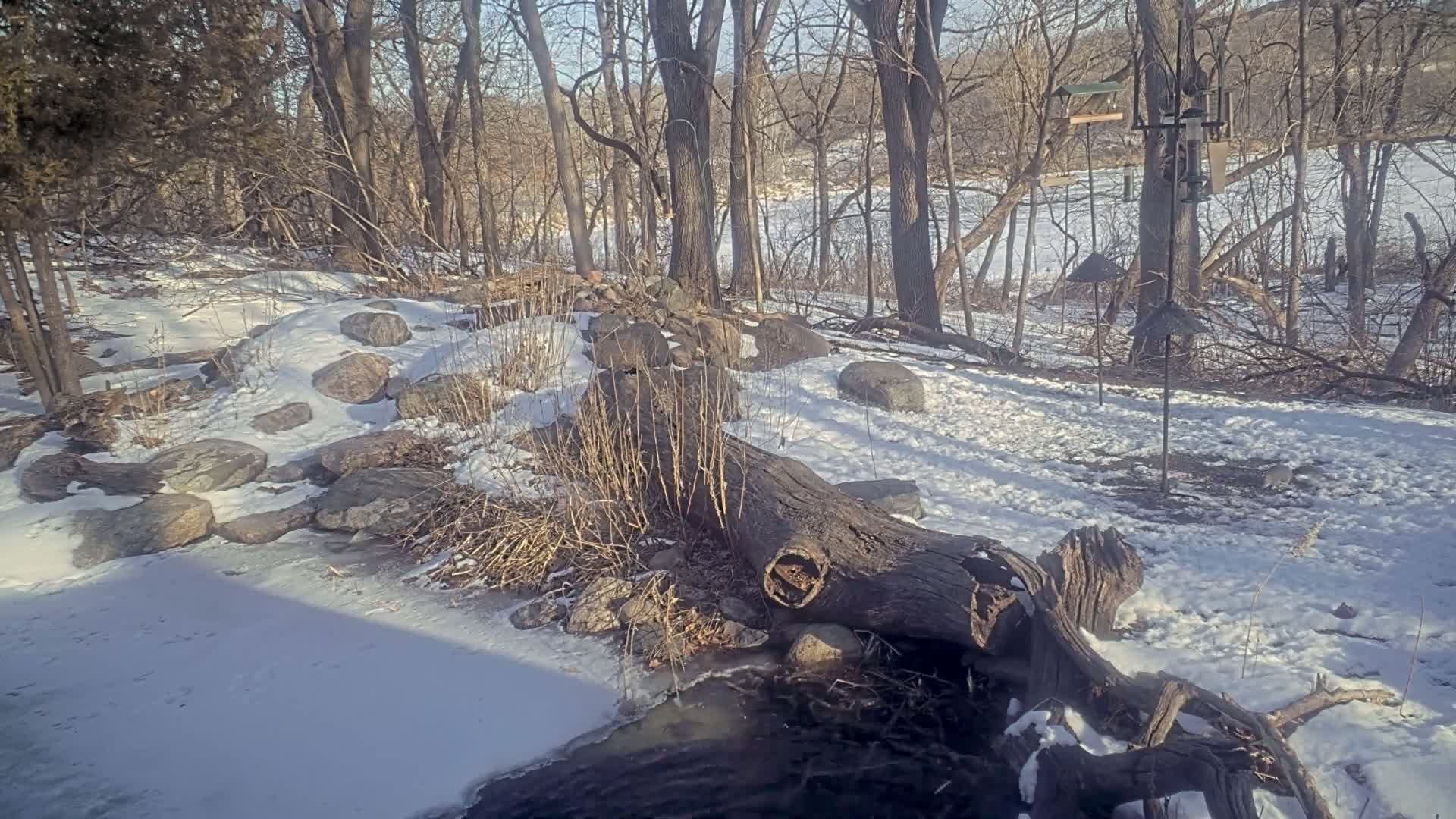 A snowy woodland scene with a fallen log partially submerged in a partially frozen stream, surrounded by rocks and leafless trees, under a sunny sky.