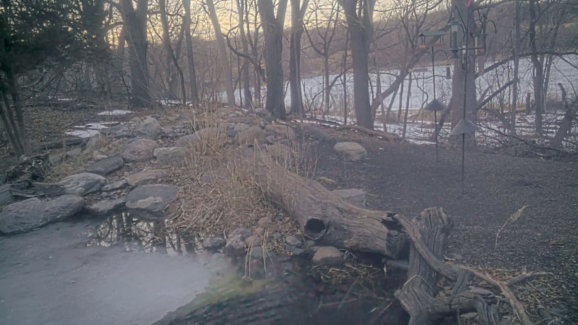 A large, decaying log lies near a small, partially frozen body of water in a wooded area with bare trees and patches of snow on the ground.