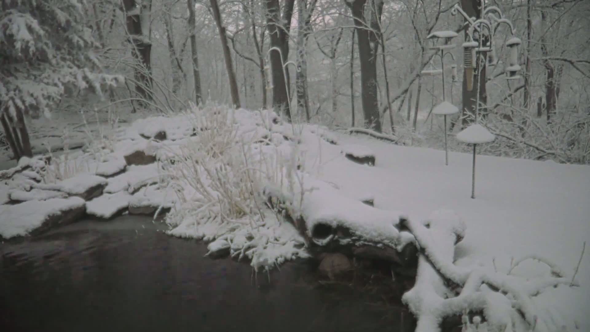 A snow-covered pond surrounded by snow-laden rocks, plants, and trees, with bird feeders also covered in snow, in a wooded area.